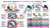 Top 10 Best Dance Shoes Brands for Men & Women