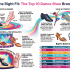 Top 10 Best Shoes for Plantar Fasciitis